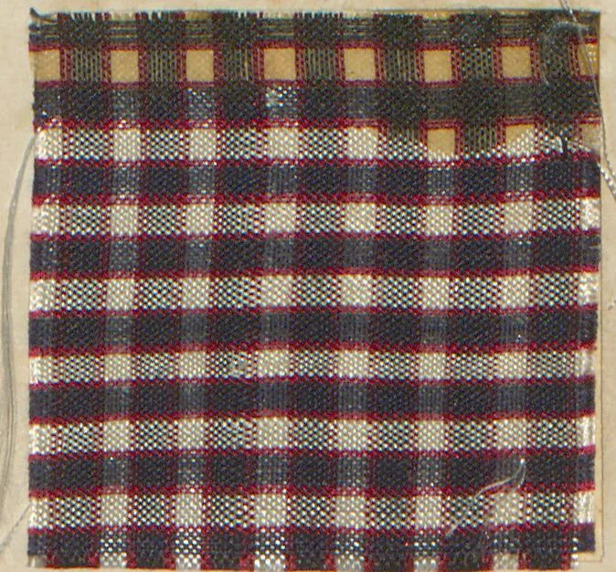 An illustration from Collection of specimens and illustrations of the textile manufactures of India. Second series, 0575-0631 / prepared under the direction of J. Forbes Watson, 1873, leaf 3