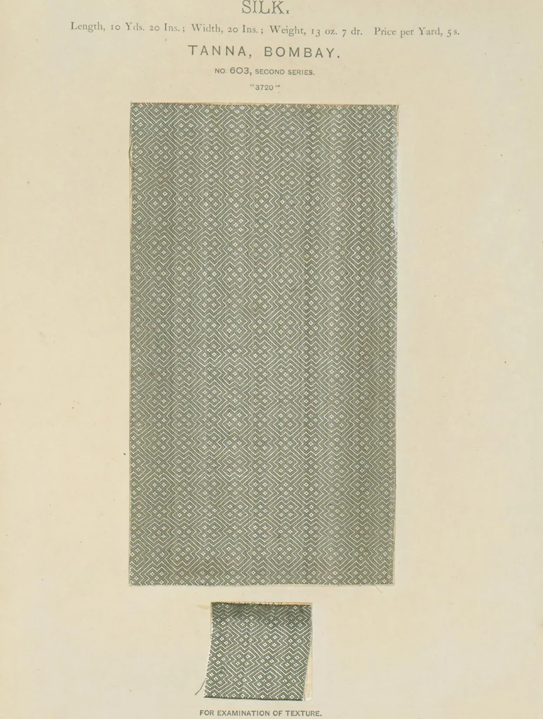An illustration from Collection of specimens and illustrations of the textile manufactures of India. Second series, 0575-0631 / prepared under the direction of J. Forbes Watson, 1873, leaf 30