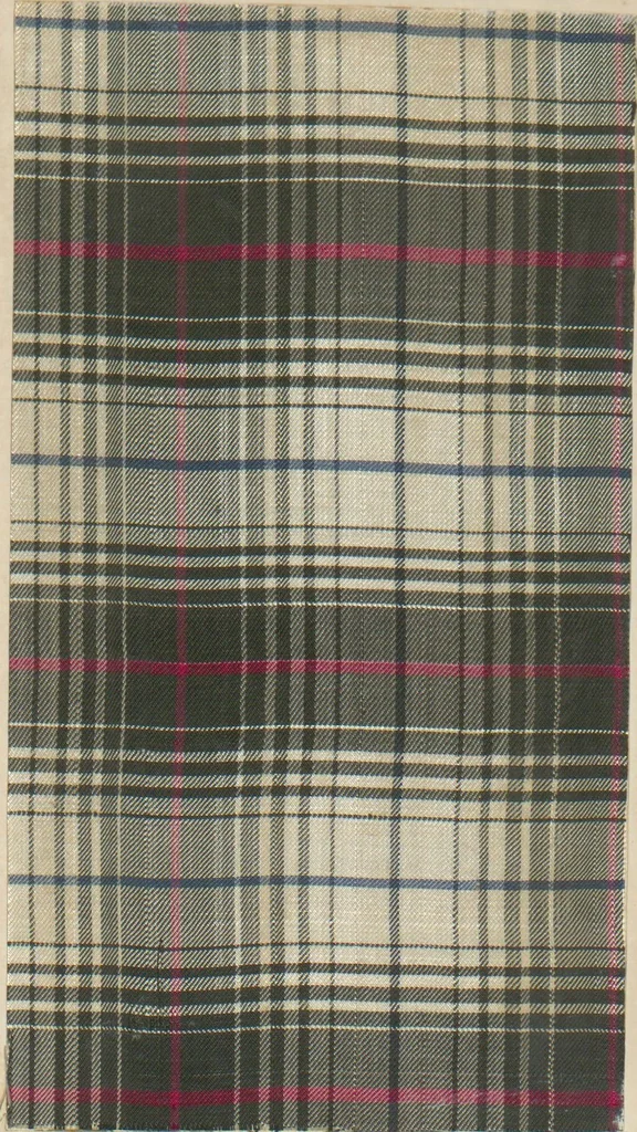 An illustration from Collection of specimens and illustrations of the textile manufactures of India. Second series, 0575-0631 / prepared under the direction of J. Forbes Watson, 1873, leaf 32