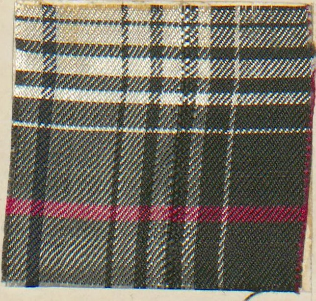An illustration from Collection of specimens and illustrations of the textile manufactures of India. Second series, 0575-0631 / prepared under the direction of J. Forbes Watson, 1873, leaf 32