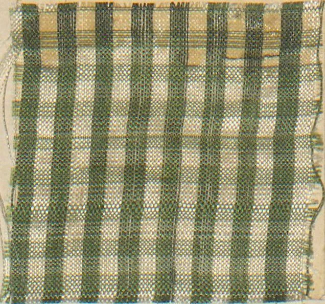 An illustration from Collection of specimens and illustrations of the textile manufactures of India. Second series, 0575-0631 / prepared under the direction of J. Forbes Watson, 1873, leaf 4