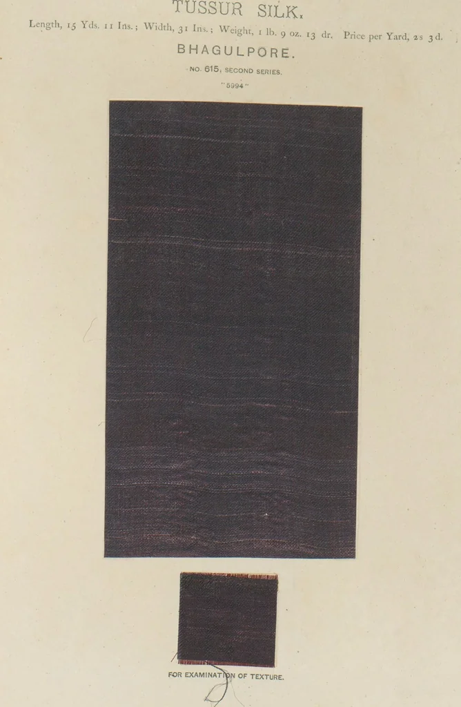 An illustration from Collection of specimens and illustrations of the textile manufactures of India. Second series, 0575-0631 / prepared under the direction of J. Forbes Watson, 1873, leaf 42