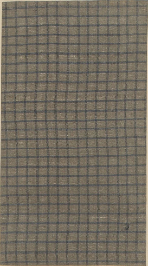 An illustration from Collection of specimens and illustrations of the textile manufactures of India. Second series, 0575-0631 / prepared under the direction of J. Forbes Watson, 1873, leaf 45