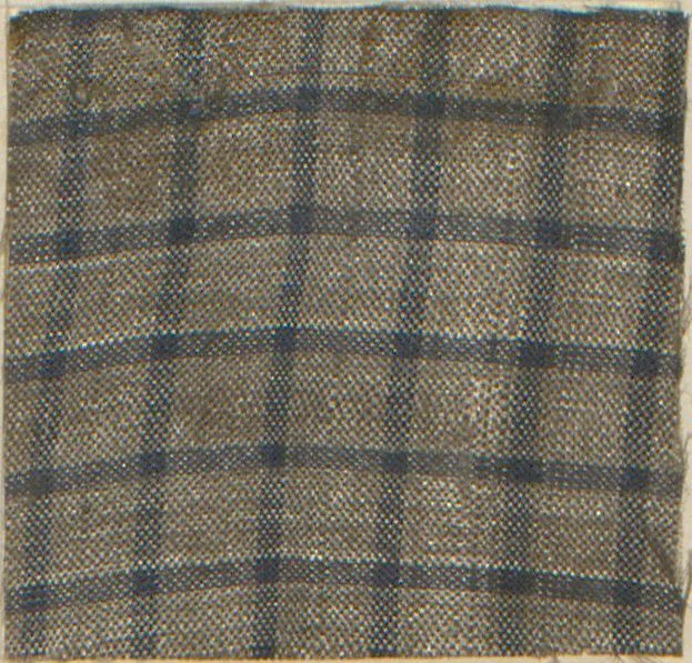 An illustration from Collection of specimens and illustrations of the textile manufactures of India. Second series, 0575-0631 / prepared under the direction of J. Forbes Watson, 1873, leaf 45