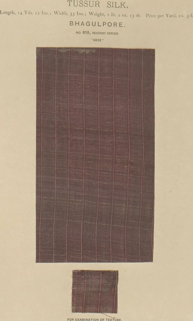 An illustration from Collection of specimens and illustrations of the textile manufactures of India. Second series, 0575-0631 / prepared under the direction of J. Forbes Watson, 1873, leaf 46