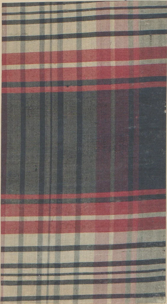 An illustration from Collection of specimens and illustrations of the textile manufactures of India. Second series, 0575-0631 / prepared under the direction of J. Forbes Watson, 1873, leaf 47