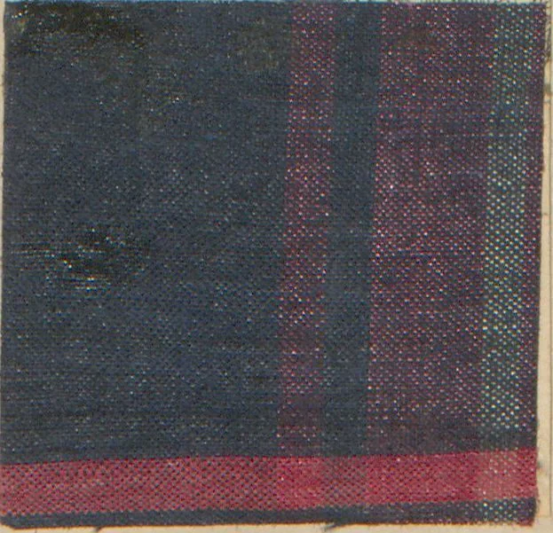 An illustration from Collection of specimens and illustrations of the textile manufactures of India. Second series, 0575-0631 / prepared under the direction of J. Forbes Watson, 1873, leaf 47
