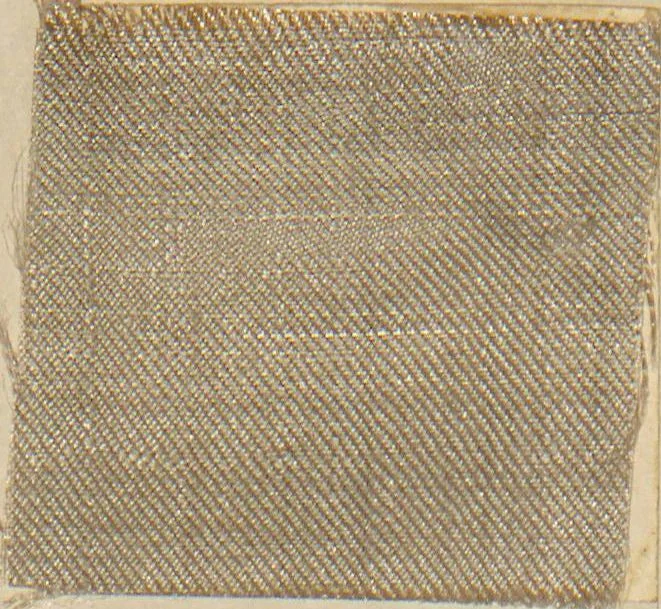 An illustration from Collection of specimens and illustrations of the textile manufactures of India. Second series, 0575-0631 / prepared under the direction of J. Forbes Watson, 1873, leaf 48