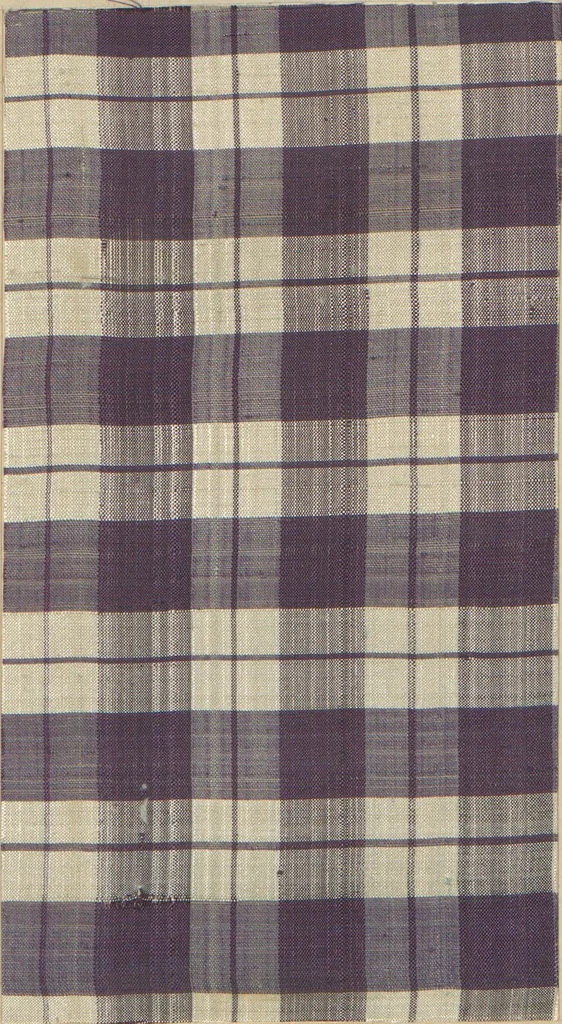 An illustration from Collection of specimens and illustrations of the textile manufactures of India. Second series, 0575-0631 / prepared under the direction of J. Forbes Watson, 1873, leaf 5