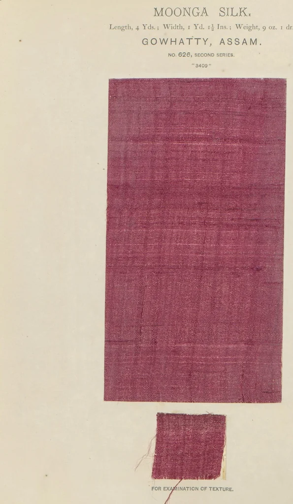 An illustration from Collection of specimens and illustrations of the textile manufactures of India. Second series, 0575-0631 / prepared under the direction of J. Forbes Watson, 1873, leaf 53