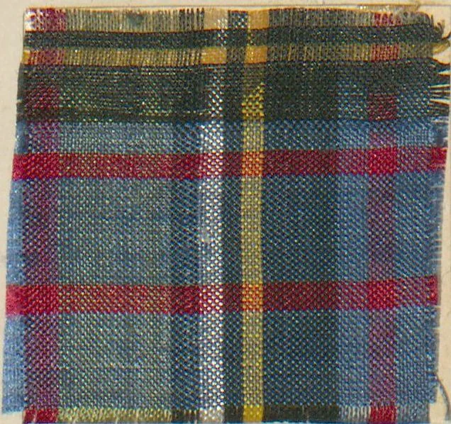 An illustration from Collection of specimens and illustrations of the textile manufactures of India. Second series, 0575-0631 / prepared under the direction of J. Forbes Watson, 1873, leaf 6