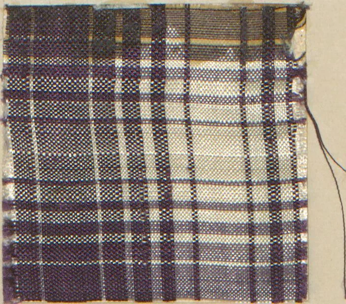 An illustration from Collection of specimens and illustrations of the textile manufactures of India. Second series, 0575-0631 / prepared under the direction of J. Forbes Watson, 1873, leaf 7