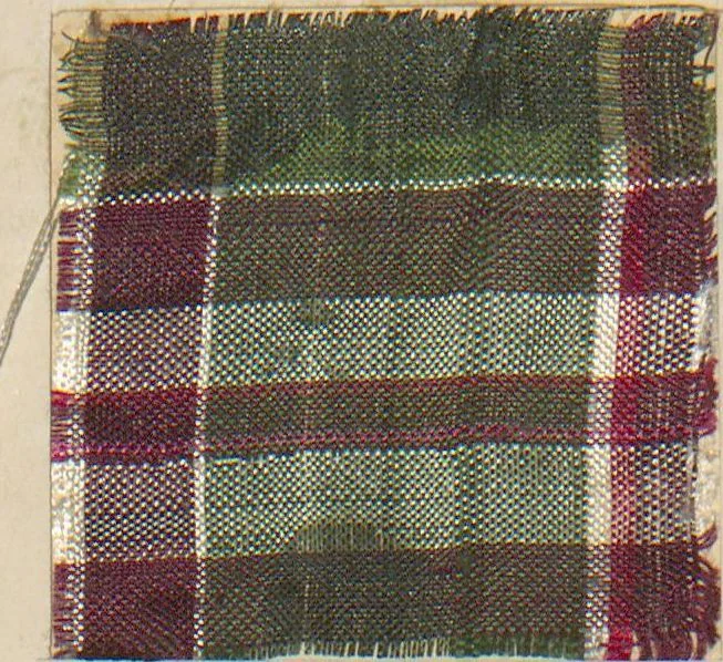 An illustration from Collection of specimens and illustrations of the textile manufactures of India. Second series, 0575-0631 / prepared under the direction of J. Forbes Watson, 1873, leaf 8