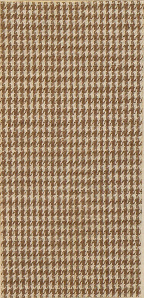 An illustration from Collection of specimens and illustrations of the textile manufactures of India. Second series, 0752-0812 / prepared under the direction of J. Forbes Watson, 1874, leaf 13