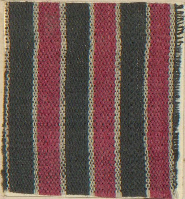 An illustration from Collection of specimens and illustrations of the textile manufactures of India. Second series, 0752-0812 / prepared under the direction of J. Forbes Watson, 1874, leaf 17