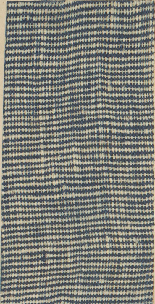 An illustration from Collection of specimens and illustrations of the textile manufactures of India. Second series, 0752-0812 / prepared under the direction of J. Forbes Watson, 1874, leaf 44