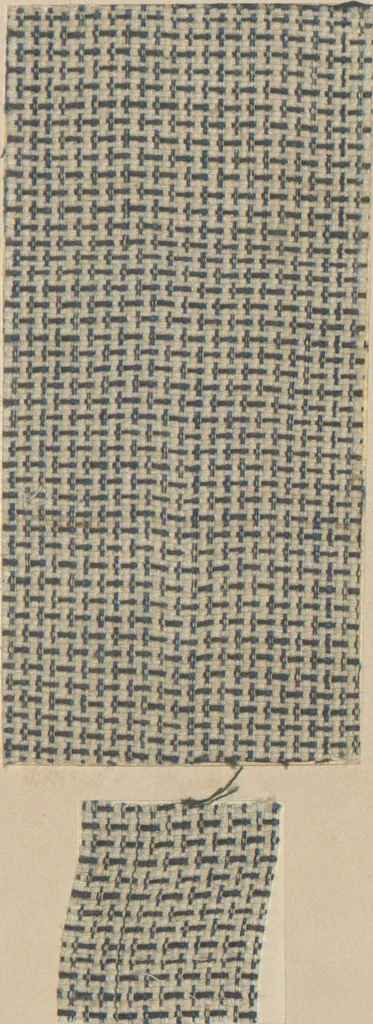 An illustration from Collection of specimens and illustrations of the textile manufactures of India. Second series, 0752-0812 / prepared under the direction of J. Forbes Watson, 1874, leaf 47