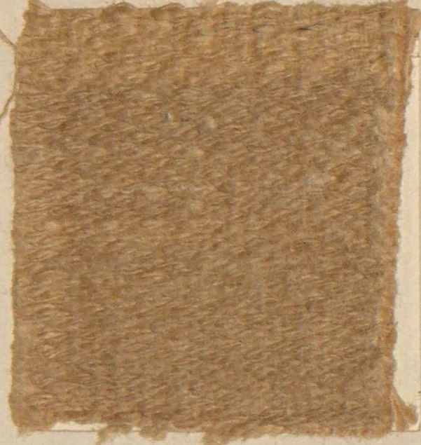 An illustration from Collection of specimens and illustrations of the textile manufactures of India. Second series, 0752-0812 / prepared under the direction of J. Forbes Watson, 1874, leaf 49