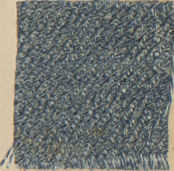 An illustration from Collection of specimens and illustrations of the textile manufactures of India. Second series, 0752-0812 / prepared under the direction of J. Forbes Watson, 1874, leaf 55
