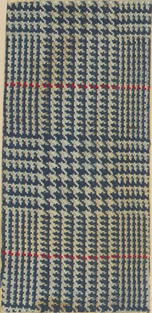 An illustration from Collection of specimens and illustrations of the textile manufactures of India. Second series, 0752-0812 / prepared under the direction of J. Forbes Watson, 1874, leaf 56