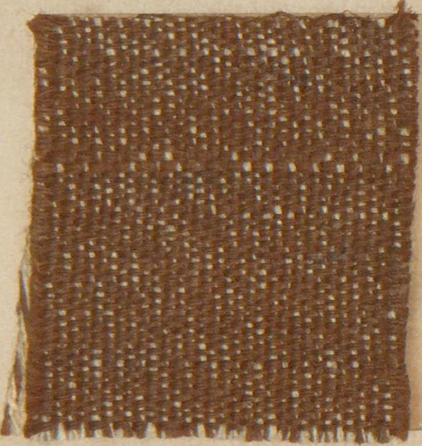An illustration from Collection of specimens and illustrations of the textile manufactures of India. Second series, 0752-0812 / prepared under the direction of J. Forbes Watson, 1874, leaf 57