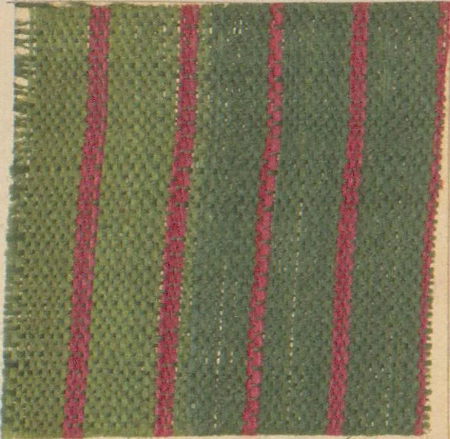An illustration from Collection of specimens and illustrations of the textile manufactures of India. Second series, 0752-0812 / prepared under the direction of J. Forbes Watson, 1874, leaf 6