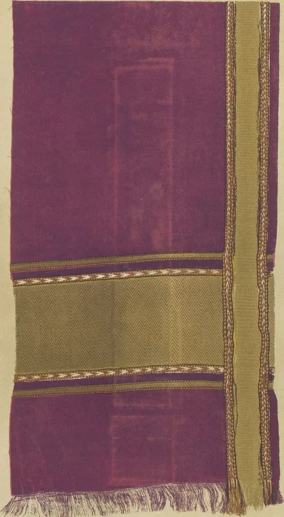 An illustration from Collection of specimens and illustrations of the textile manufactures of India. Second series, 0101-0134 / prepared under the direction of J. Forbes Watson, 1877, leaf 12