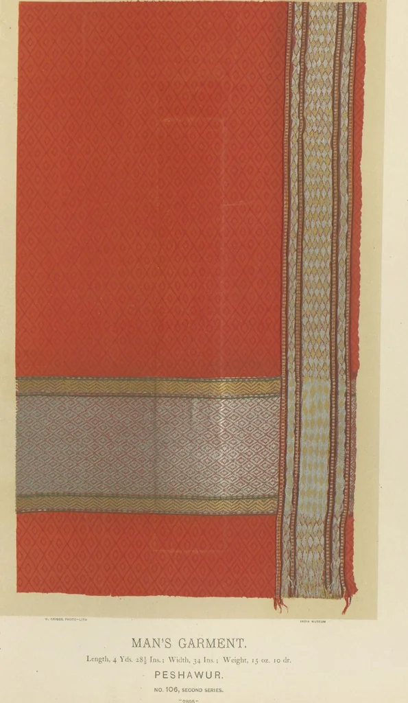 An illustration from Collection of specimens and illustrations of the textile manufactures of India. Second series, 0101-0134 / prepared under the direction of J. Forbes Watson, 1877, leaf 14