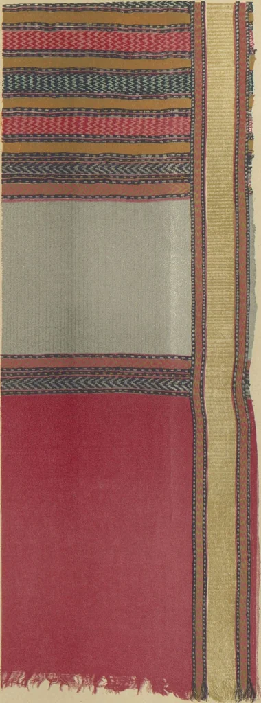 An illustration from Collection of specimens and illustrations of the textile manufactures of India. Second series, 0101-0134 / prepared under the direction of J. Forbes Watson, 1877, leaf 24
