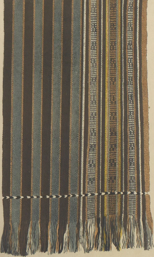 An illustration from Collection of specimens and illustrations of the textile manufactures of India. Second series, 0101-0134 / prepared under the direction of J. Forbes Watson, 1877, leaf 66