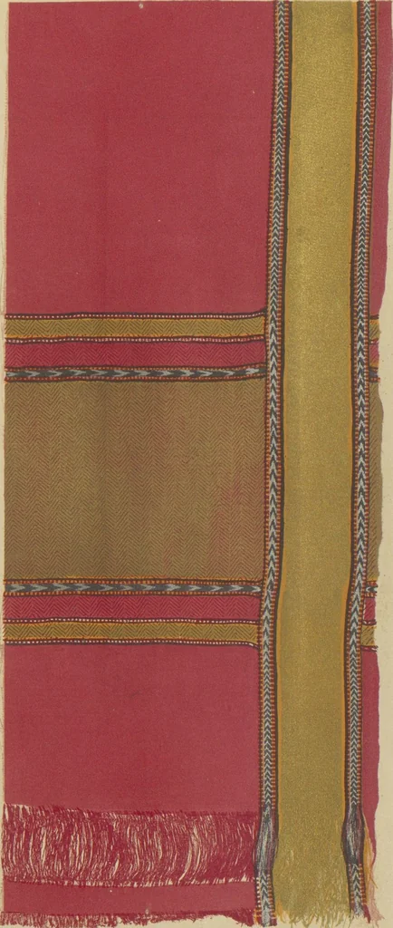 An illustration from Collection of specimens and illustrations of the textile manufactures of India. Second series, 0101-0134 / prepared under the direction of J. Forbes Watson, 1877, leaf 8