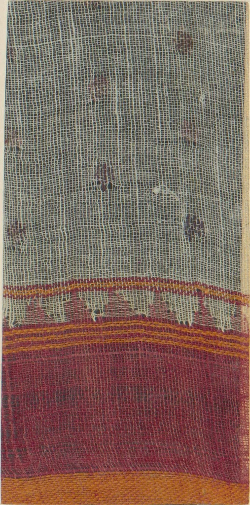 An illustration from Collection of specimens and illustrations of the textile manufactures of India. Second series, 0813-0863 / prepared under the direction of J. Forbes Watson, 1874, leaf 22