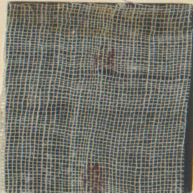 An illustration from Collection of specimens and illustrations of the textile manufactures of India. Second series, 0813-0863 / prepared under the direction of J. Forbes Watson, 1874, leaf 22