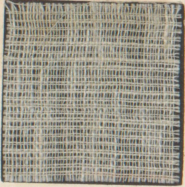 An illustration from Collection of specimens and illustrations of the textile manufactures of India. Second series, 0813-0863 / prepared under the direction of J. Forbes Watson, 1874, leaf 26