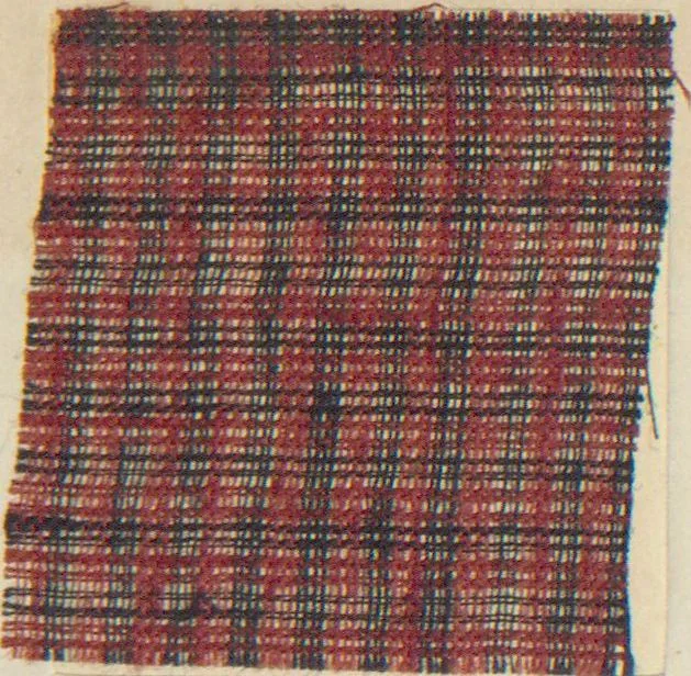 An illustration from Collection of specimens and illustrations of the textile manufactures of India. Second series, 0813-0863 / prepared under the direction of J. Forbes Watson, 1874, leaf 27