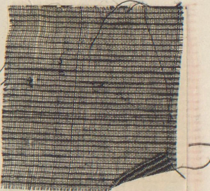 An illustration from Collection of specimens and illustrations of the textile manufactures of India. Second series, 0813-0863 / prepared under the direction of J. Forbes Watson, 1874, leaf 3