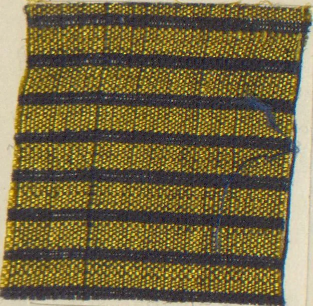 An illustration from Collection of specimens and illustrations of the textile manufactures of India. Second series, 0813-0863 / prepared under the direction of J. Forbes Watson, 1874, leaf 31