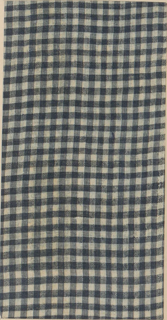 An illustration from Collection of specimens and illustrations of the textile manufactures of India. Second series, 0632-0691 / prepared under the direction of J. Forbes Watson, 1873, leaf 10