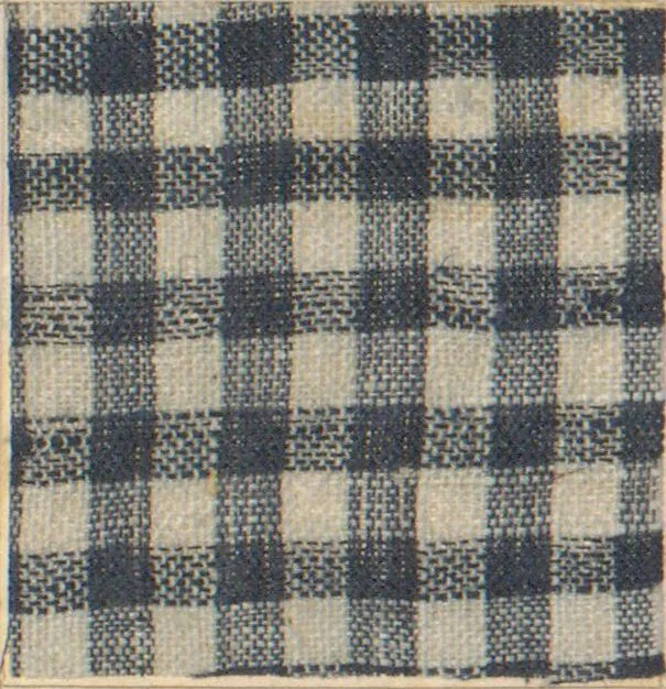 An illustration from Collection of specimens and illustrations of the textile manufactures of India. Second series, 0632-0691 / prepared under the direction of J. Forbes Watson, 1873, leaf 10