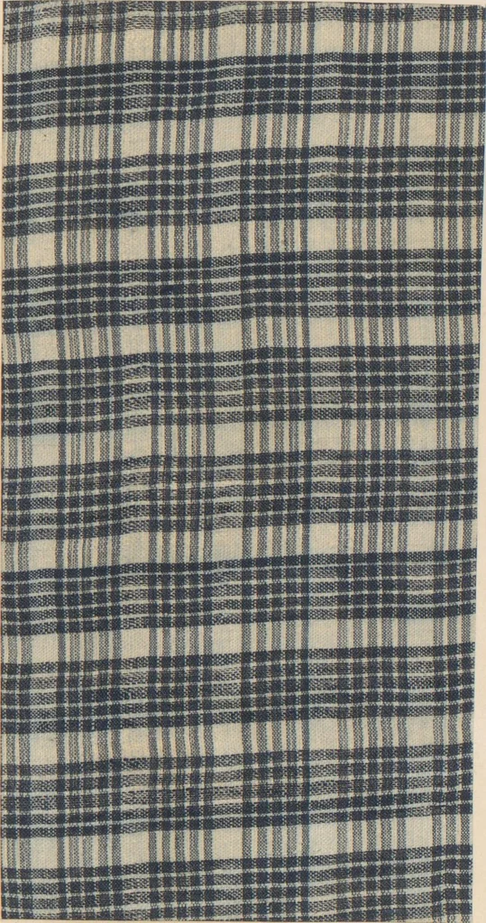 An illustration from Collection of specimens and illustrations of the textile manufactures of India. Second series, 0632-0691 / prepared under the direction of J. Forbes Watson, 1873, leaf 13