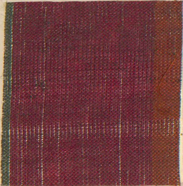 An illustration from Collection of specimens and illustrations of the textile manufactures of India. Second series, 0632-0691 / prepared under the direction of J. Forbes Watson, 1873, leaf 17