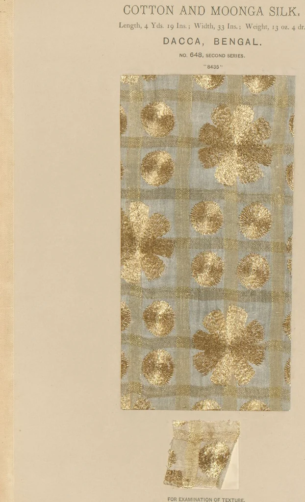 An illustration from Collection of specimens and illustrations of the textile manufactures of India. Second series, 0632-0691 / prepared under the direction of J. Forbes Watson, 1873, leaf 19