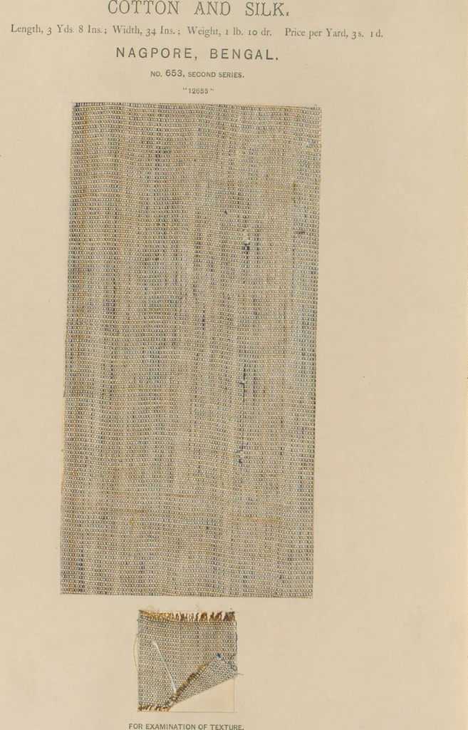 An illustration from Collection of specimens and illustrations of the textile manufactures of India. Second series, 0632-0691 / prepared under the direction of J. Forbes Watson, 1873, leaf 24