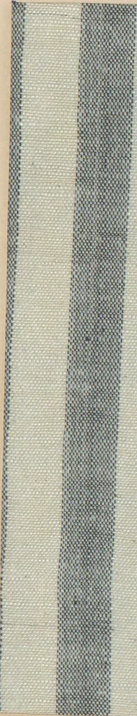 An illustration from Collection of specimens and illustrations of the textile manufactures of India. Second series, 0632-0691 / prepared under the direction of J. Forbes Watson, 1873, leaf 25