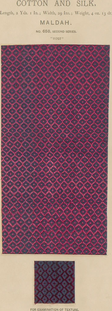 An illustration from Collection of specimens and illustrations of the textile manufactures of India. Second series, 0632-0691 / prepared under the direction of J. Forbes Watson, 1873, leaf 29