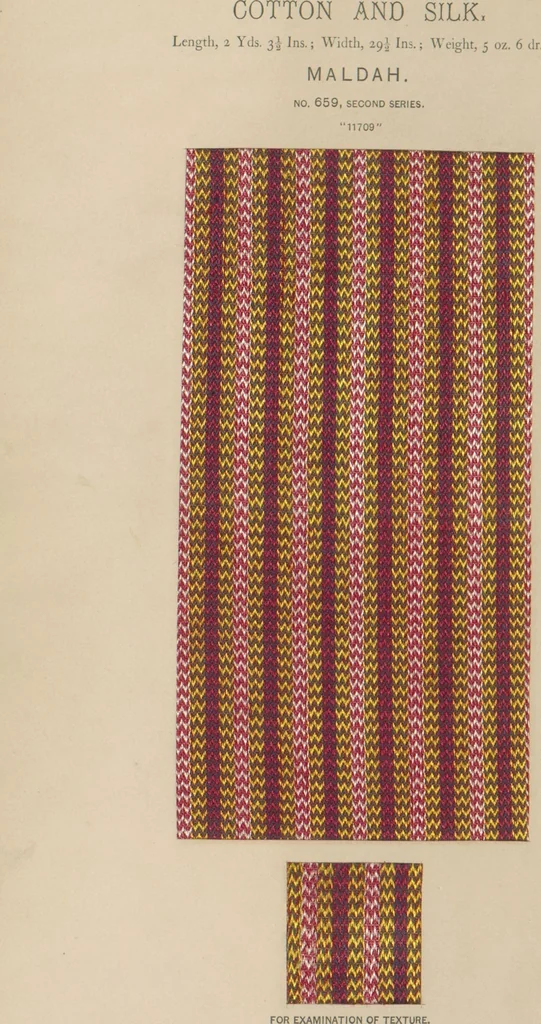 An illustration from Collection of specimens and illustrations of the textile manufactures of India. Second series, 0632-0691 / prepared under the direction of J. Forbes Watson, 1873, leaf 30