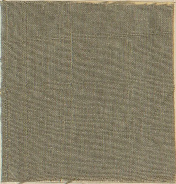 An illustration from Collection of specimens and illustrations of the textile manufactures of India. Second series, 0632-0691 / prepared under the direction of J. Forbes Watson, 1873, leaf 38