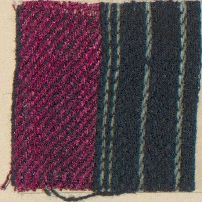 An illustration from Collection of specimens and illustrations of the textile manufactures of India. Second series, 0632-0691 / prepared under the direction of J. Forbes Watson, 1873, leaf 41