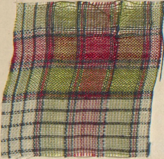 An illustration from Collection of specimens and illustrations of the textile manufactures of India. Second series, 0632-0691 / prepared under the direction of J. Forbes Watson, 1873, leaf 49
