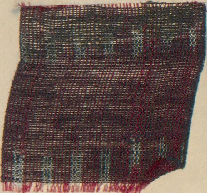An illustration from Collection of specimens and illustrations of the textile manufactures of India. Second series, 0632-0691 / prepared under the direction of J. Forbes Watson, 1873, leaf 55
